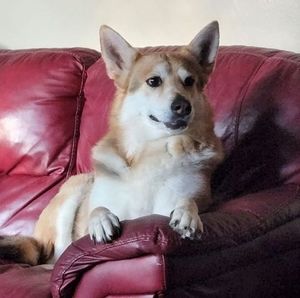 Meet your Posher, Mindy